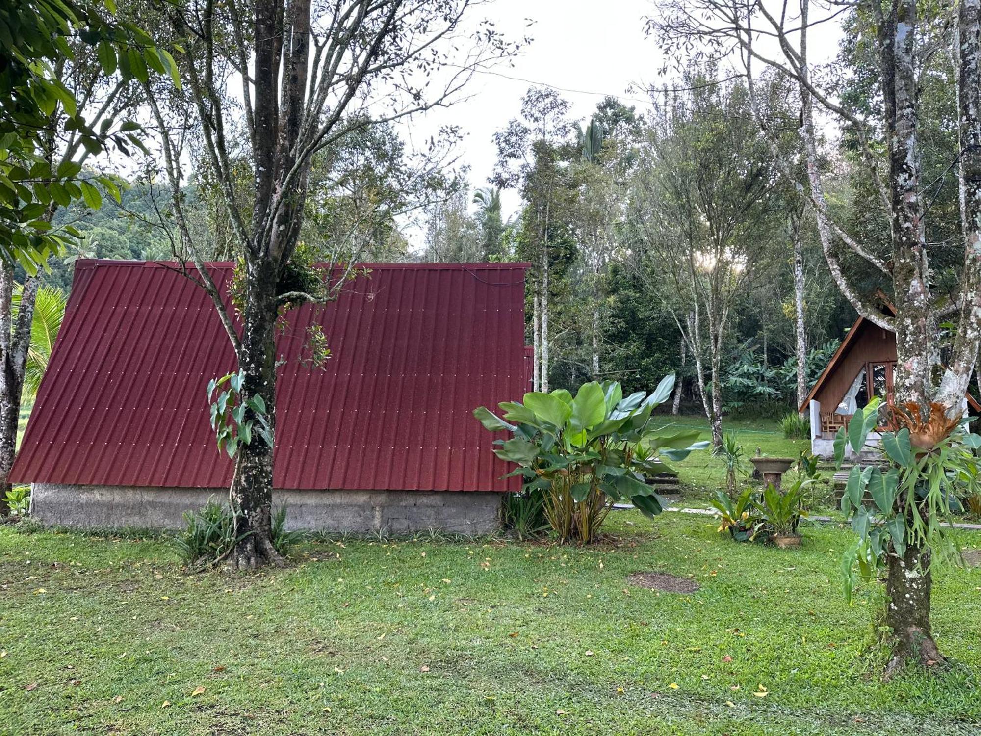 Luxury tent Da'kayu Glamping Munduk (Bali)