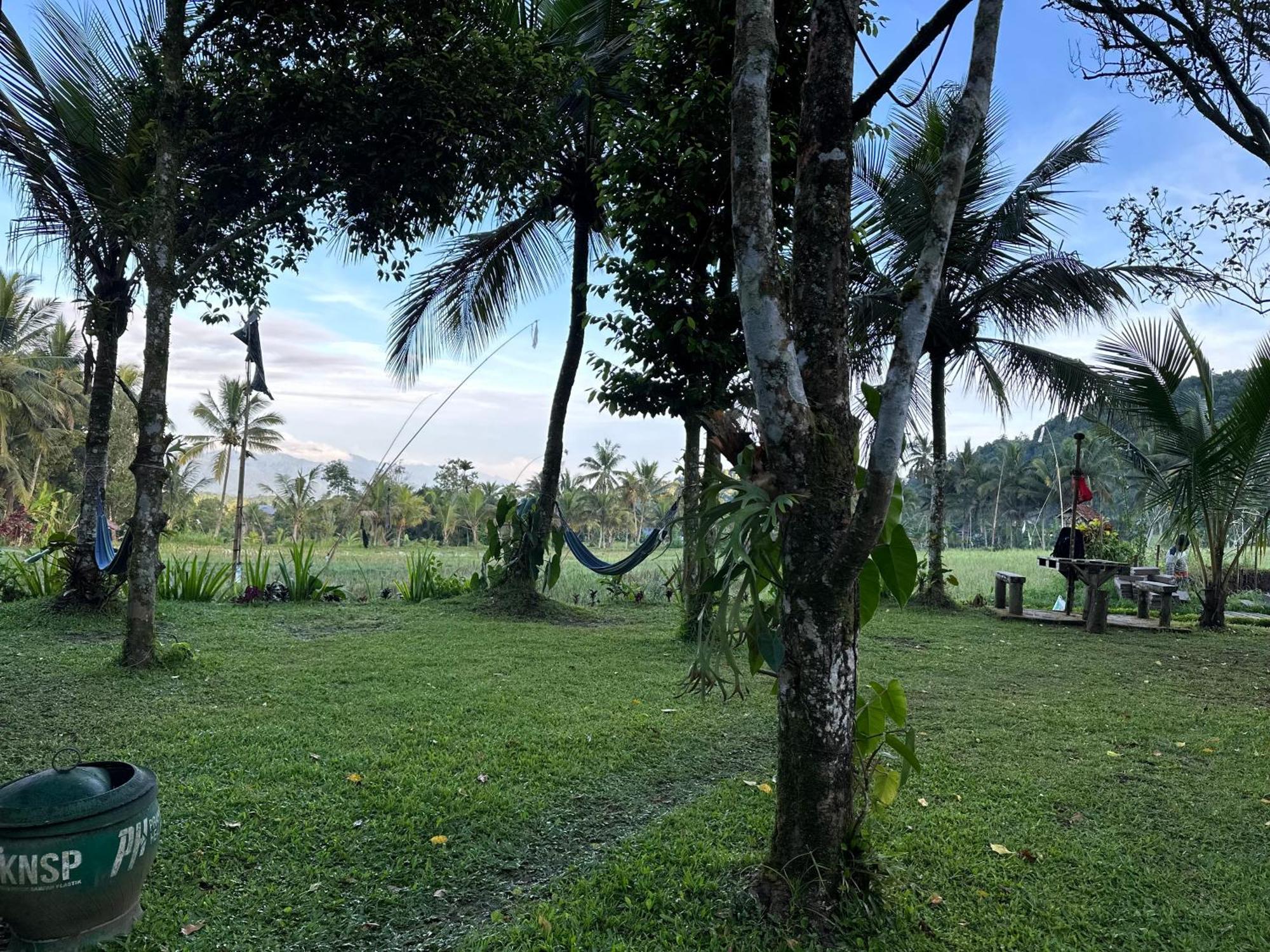 Da'kayu Glamping Luxury tent Munduk (Bali)